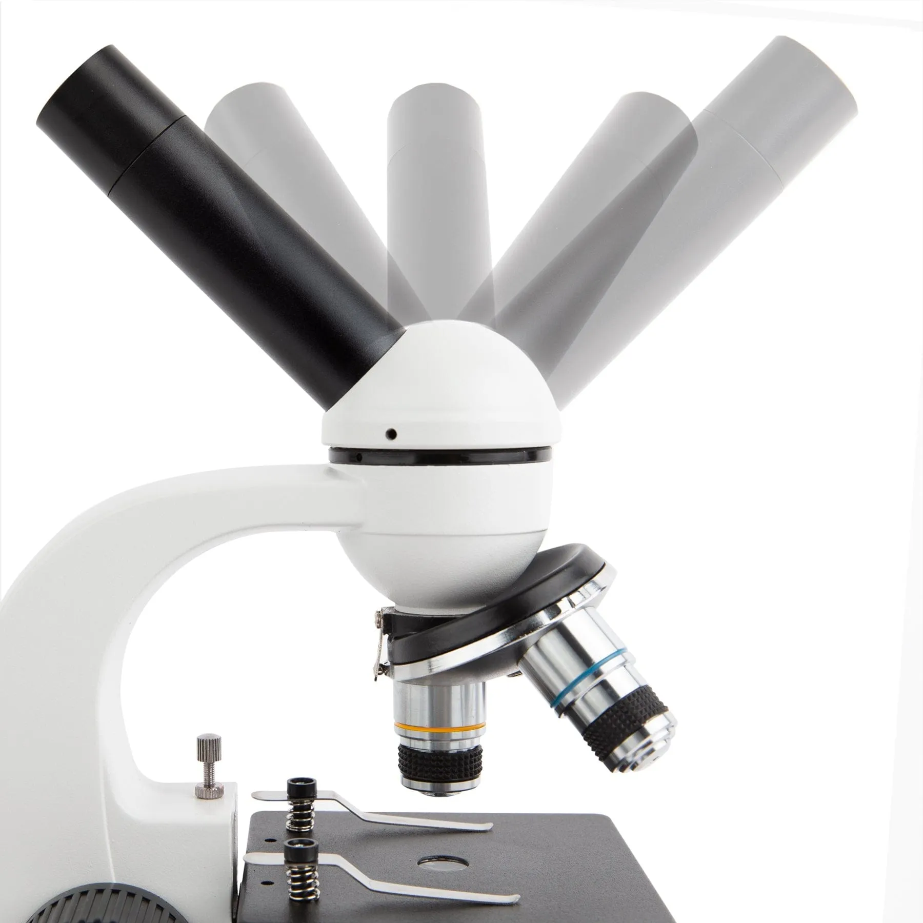 AmScope M158 Series Student Cordless Monocular Compound Microscope 40X-1000X Magnification with Metal Frame, Glass Lenses and Coarse & Fine Focus