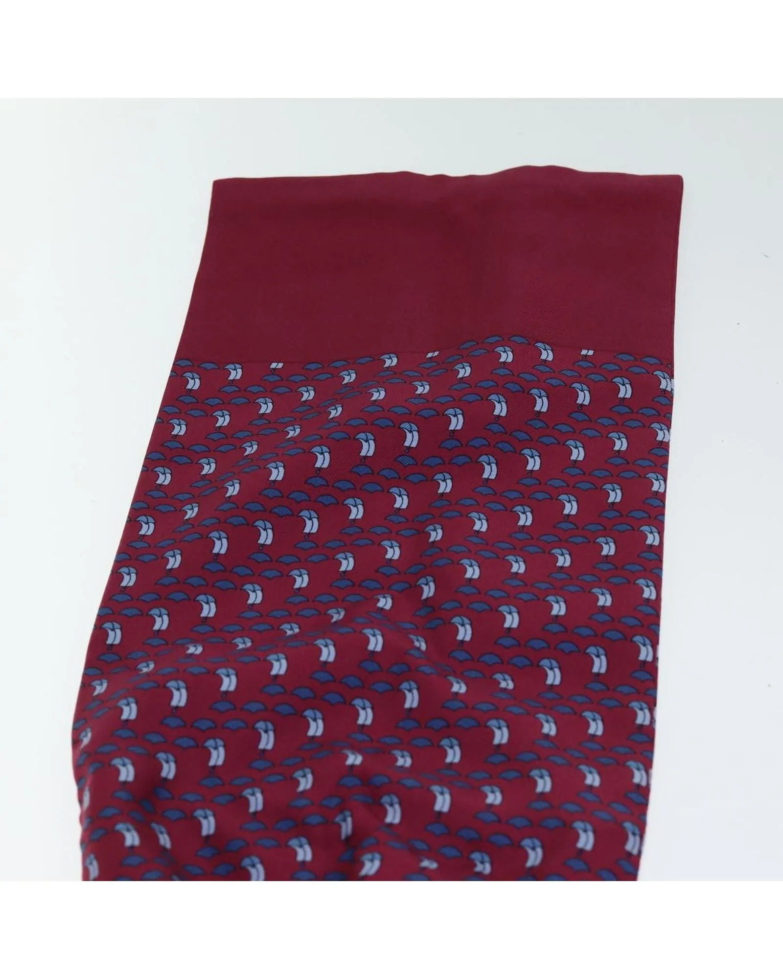 Luxurious Silk Ascot Necktie with Item Box
