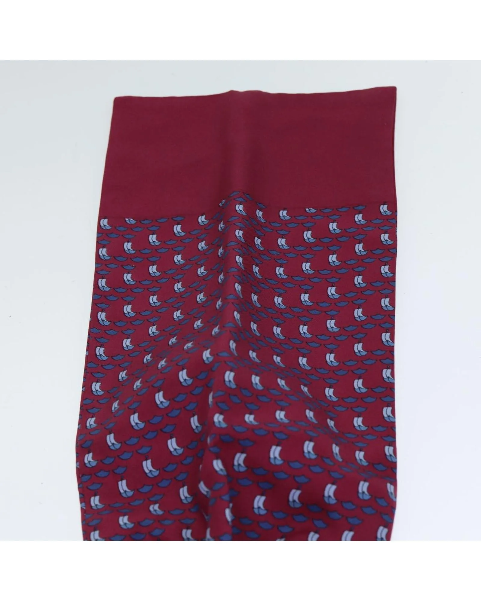Luxurious Silk Ascot Necktie with Item Box